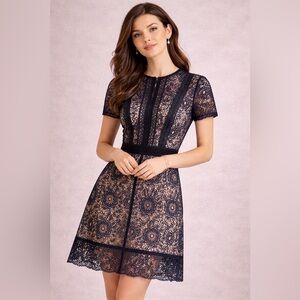 Aqua Navy Lace Dress Nude Lining Fit & Flare Mini | Elegant Work Cocktail Dress
